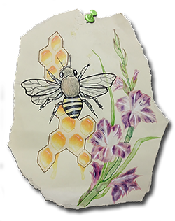 Honey Bee, Life is Sweet